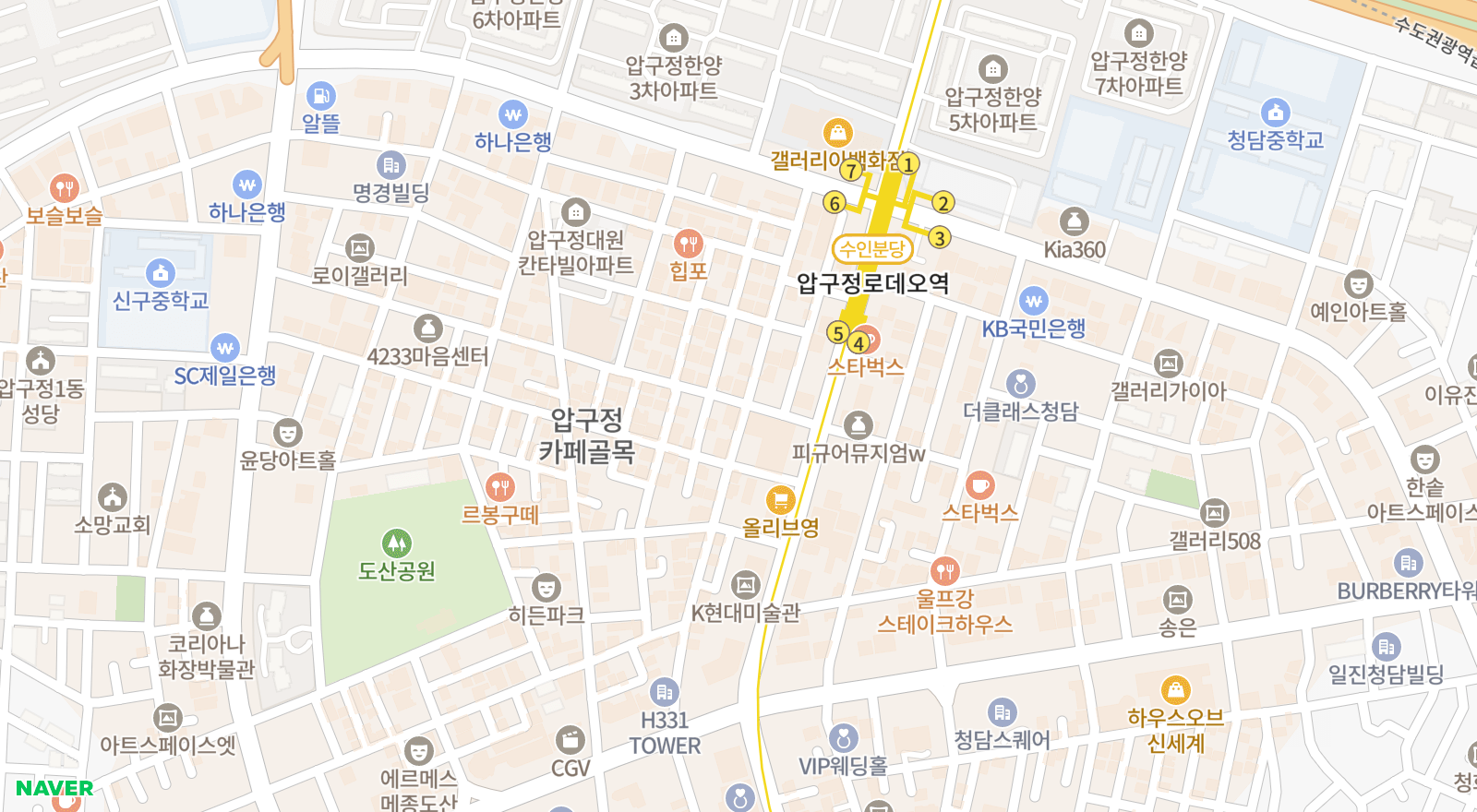 신사동 일대 지도