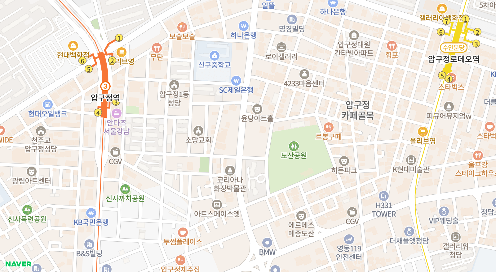 신사동 일대 지도