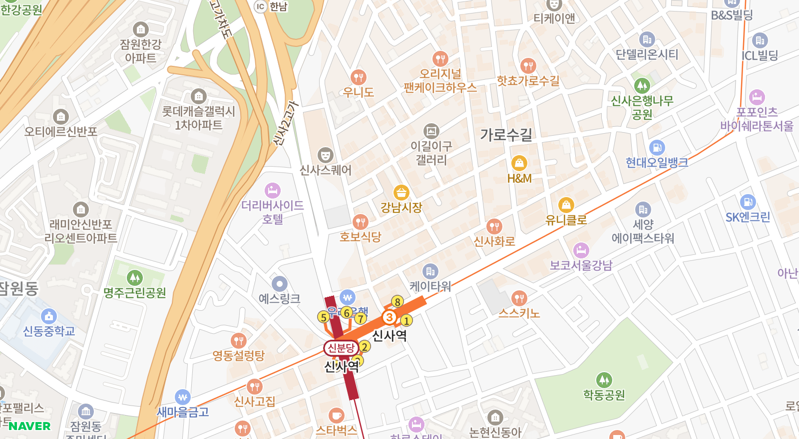 신사동 일대 지도