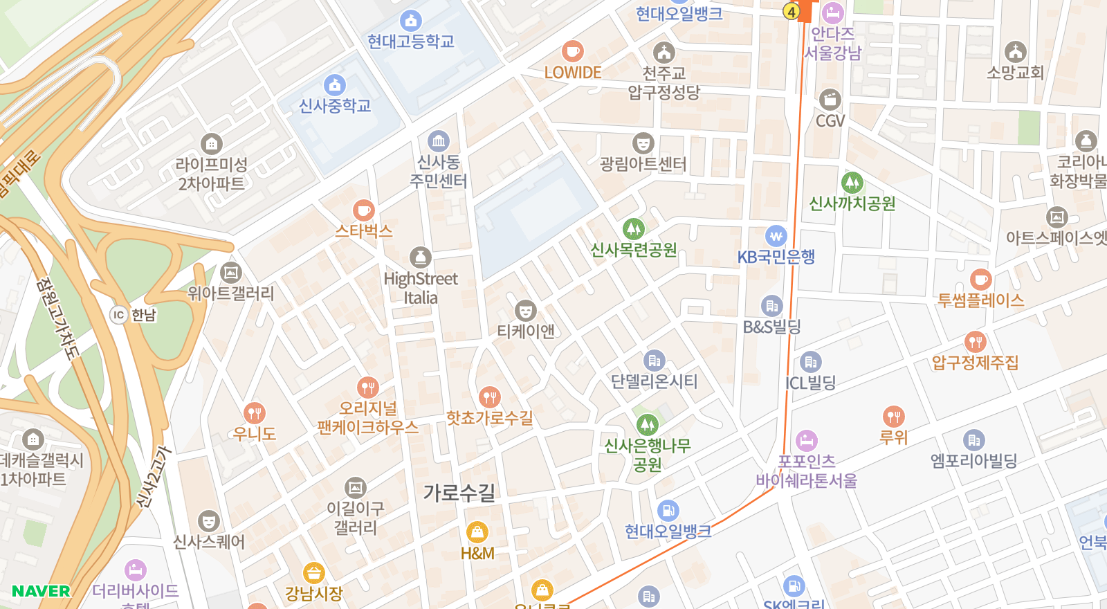 신사동 일대 지도