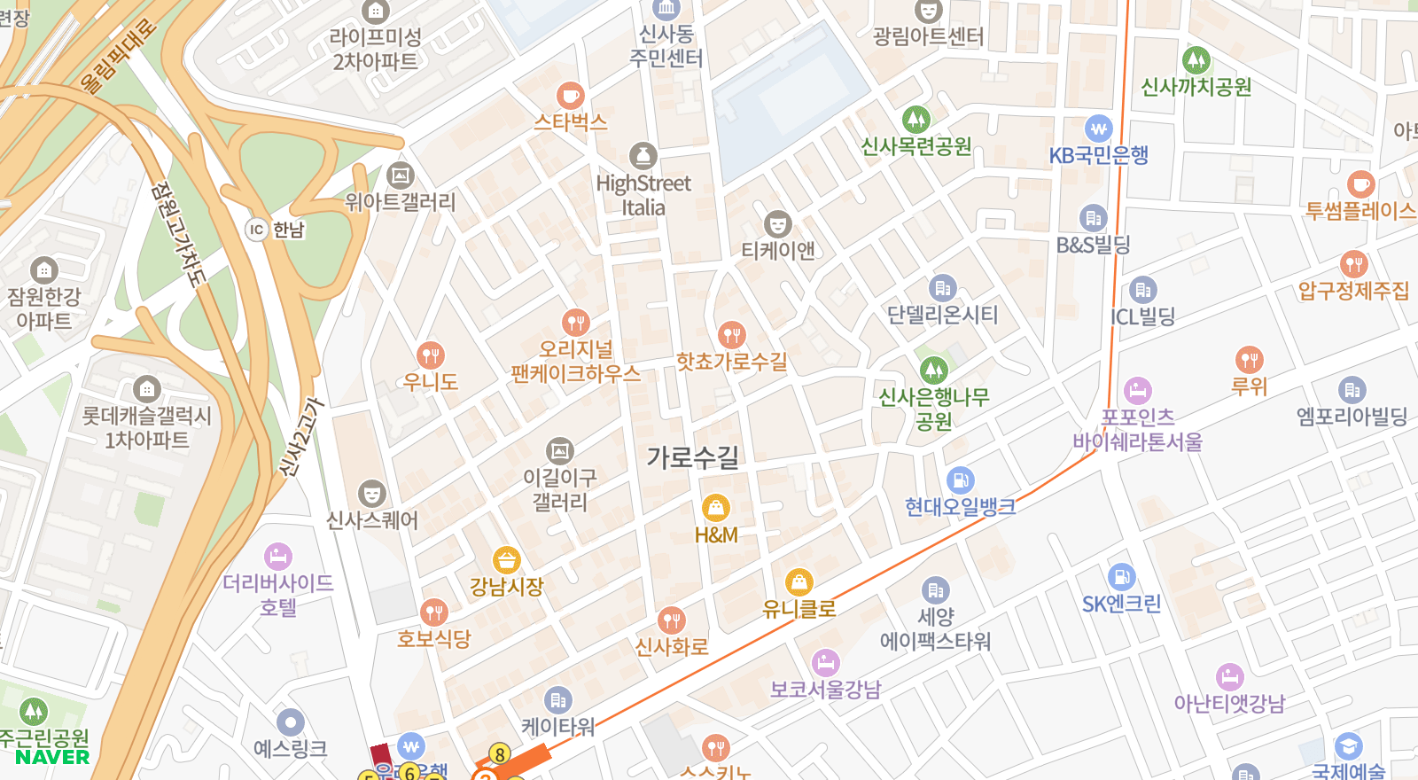 신사동 일대 지도