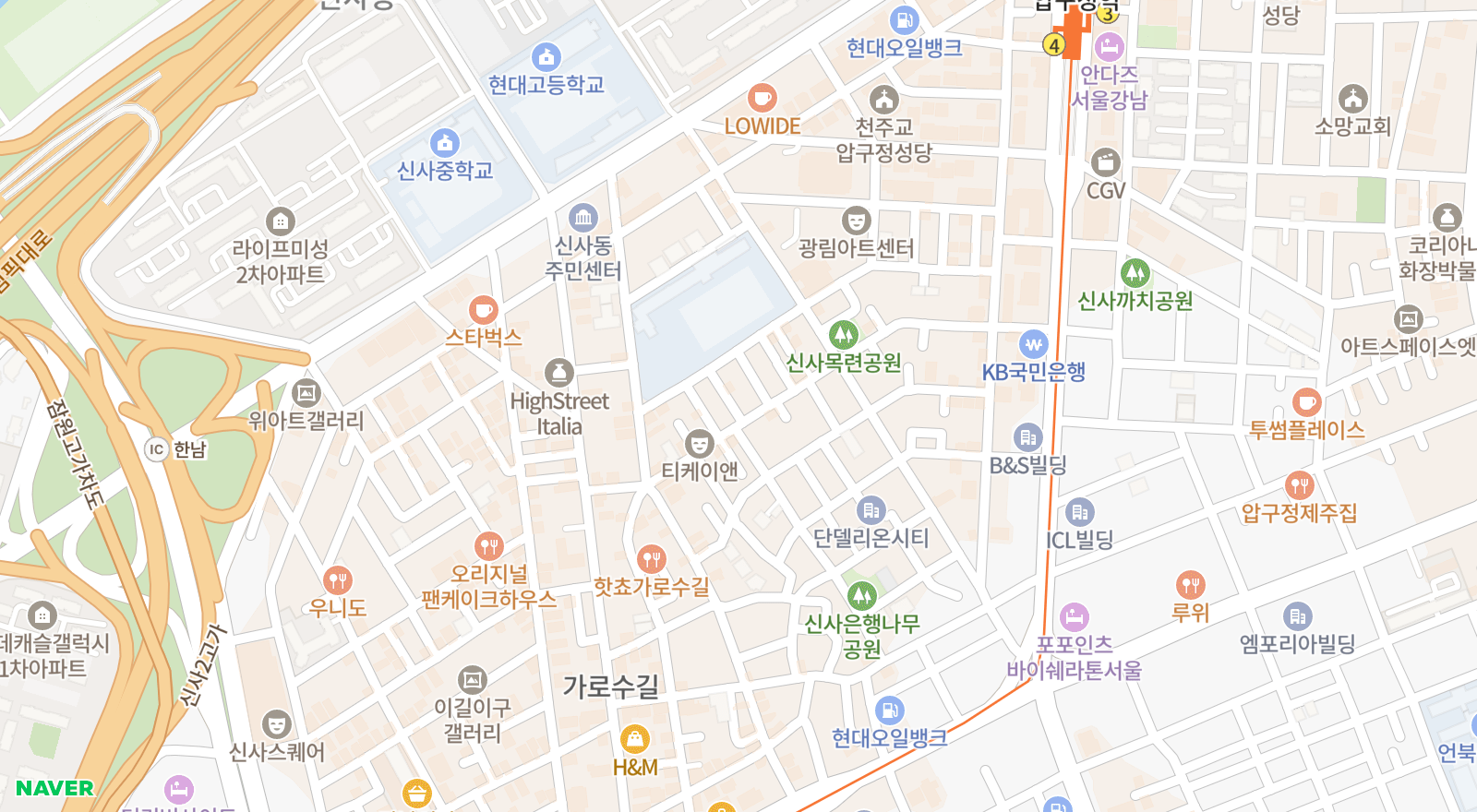 신사동 일대 지도