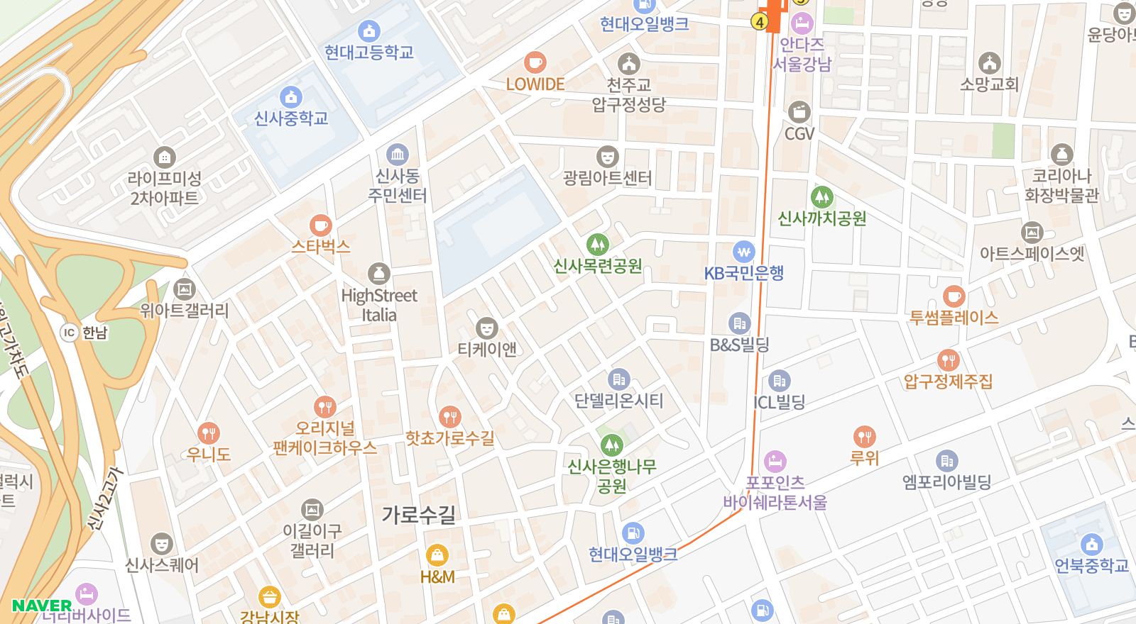 신사동 일대 지도