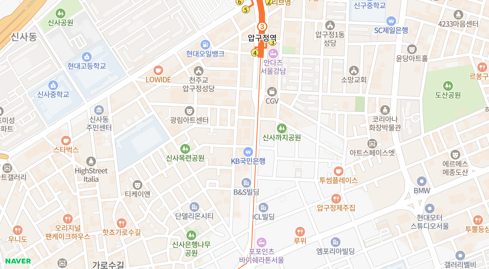 신사동 일대 지도
