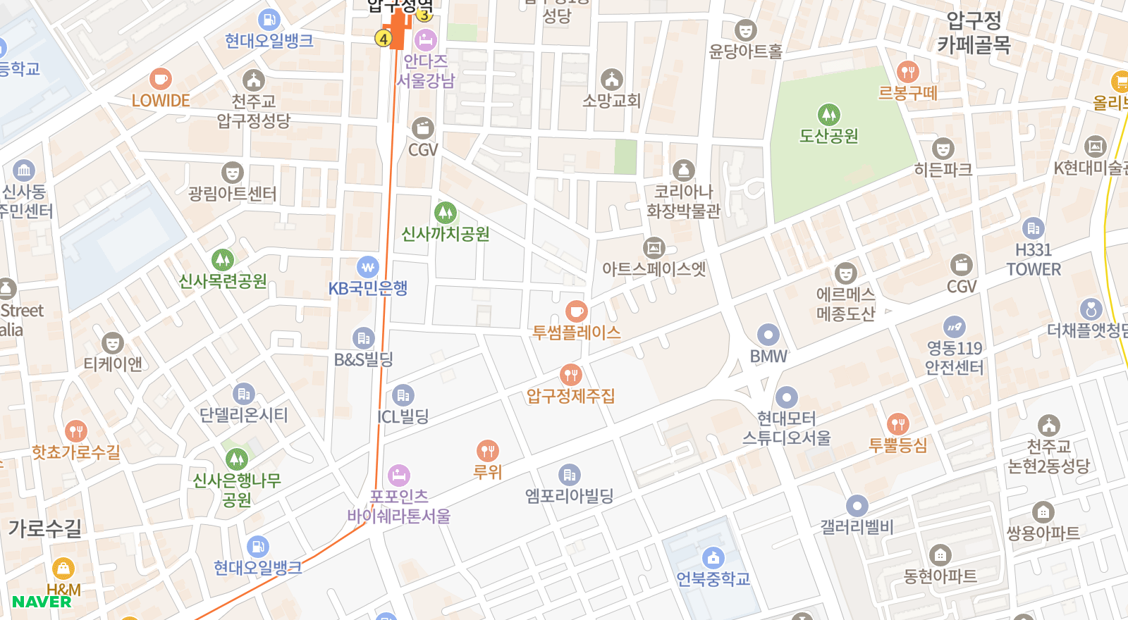 신사동 일대 지도