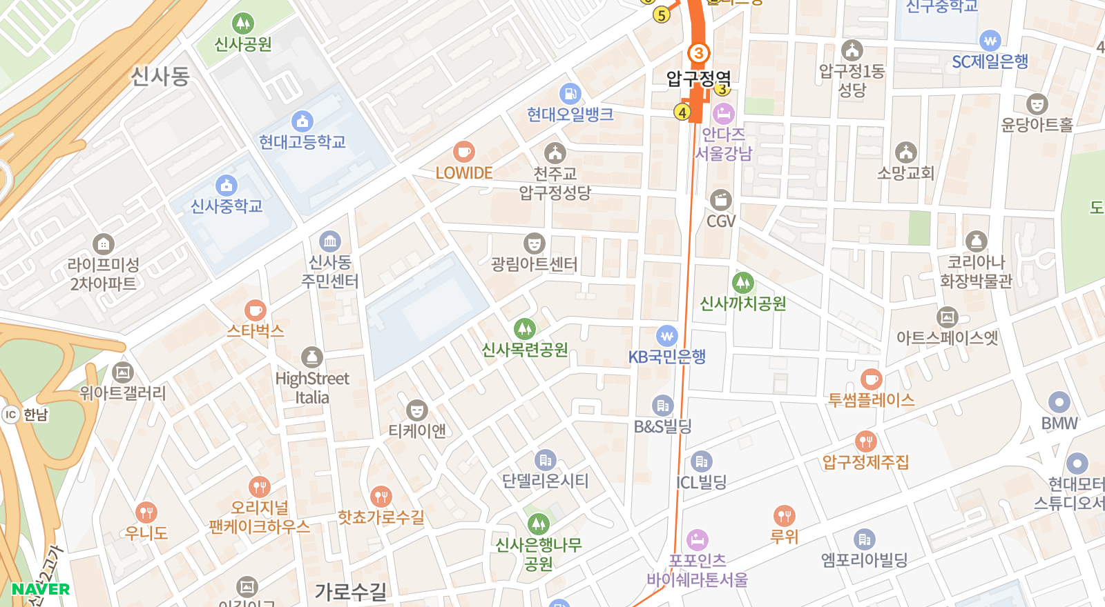 신사동 일대 지도